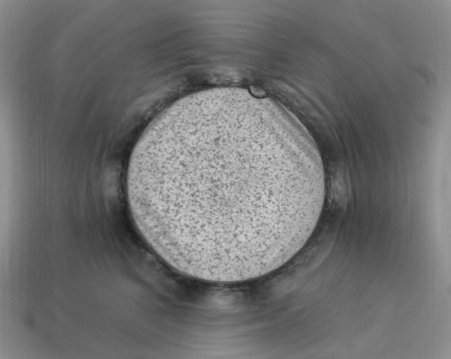 X0000114520616200911091152