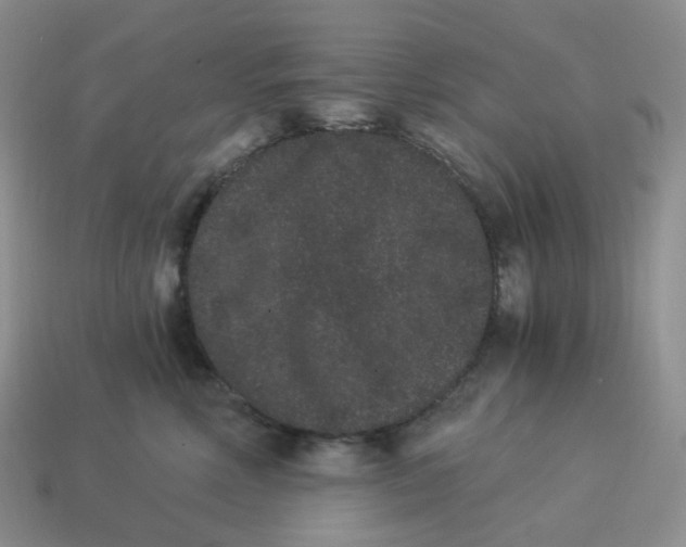 X0000114520618200911091152