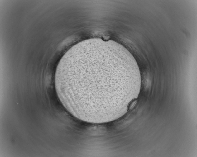 X0000114520619200911091152