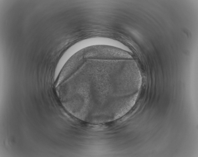 X0000114520621200911091152