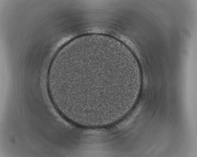 X0000114520625200911091151