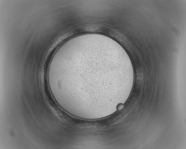 X0000114520626200911091151