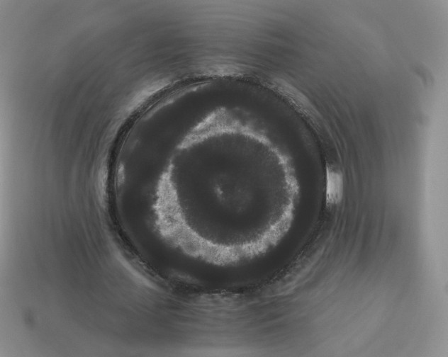 X0000114520627200911091151