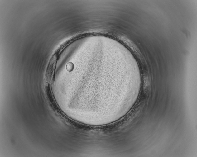 X0000114520628200911091151