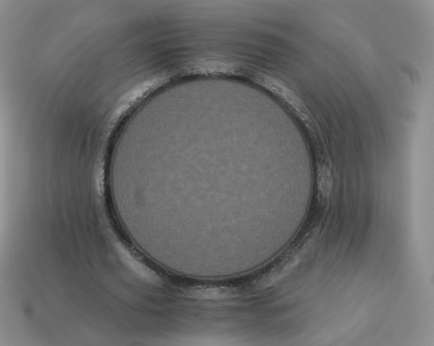 X0000114520629200911091151