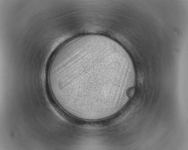 X0000114520630200911091151