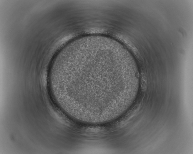 X0000114520631200911091151