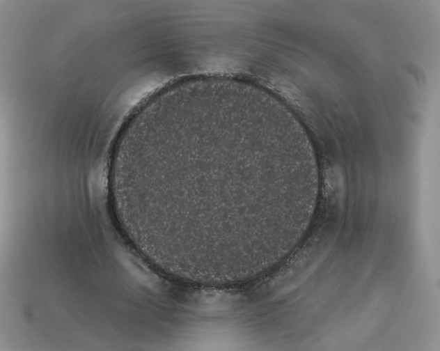 X0000114520632200911091151