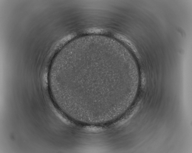 X0000114520633200911091151