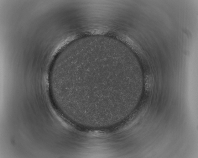 X0000114520634200911091151