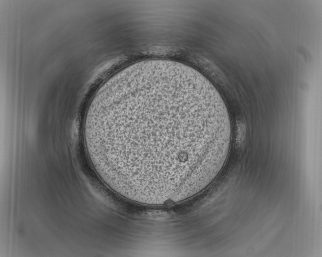 X0000114520636200911091151