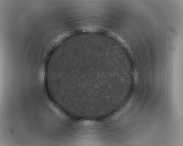 X0000114520637200911091151