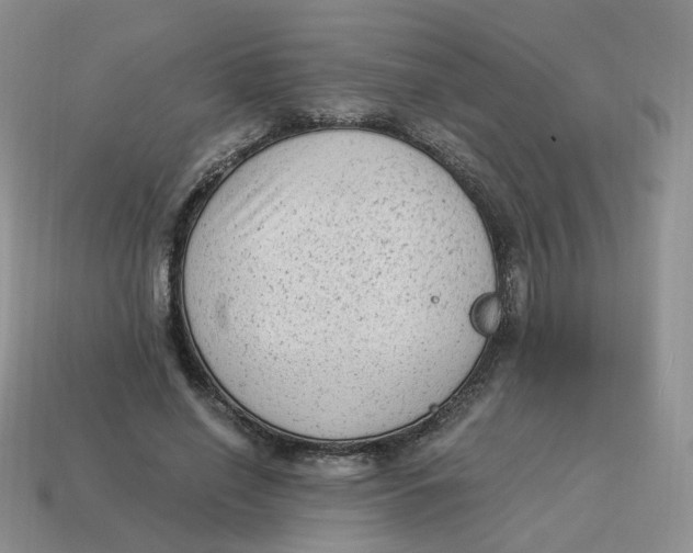 X0000114520638200911091151