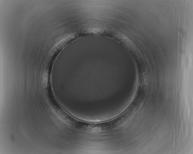 X0000114520640200911091151