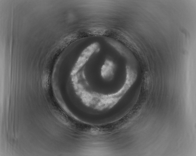 X0000114520641200911091151