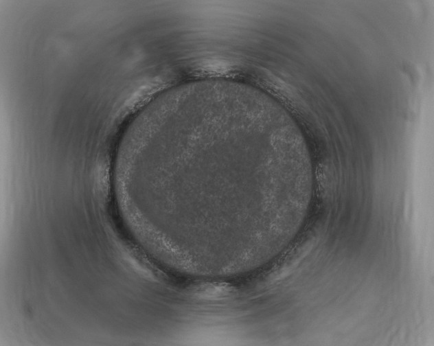 X0000114520642200911091151