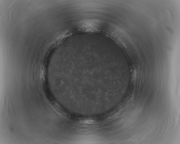 X0000114520643200911091151