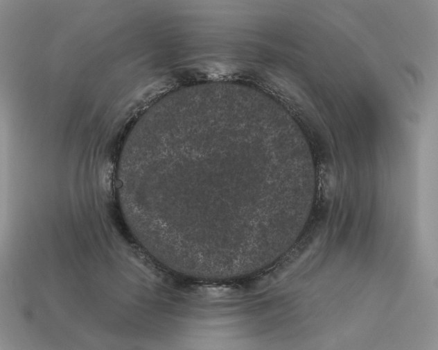 X0000114520650200911091151