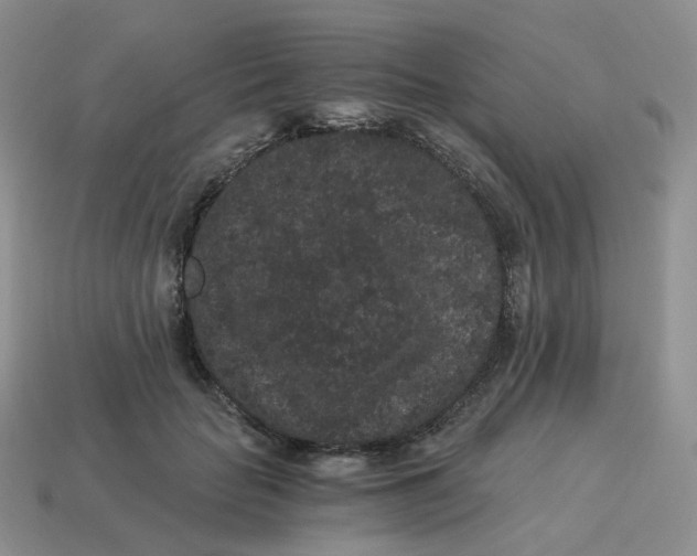 X0000114520653200911091151