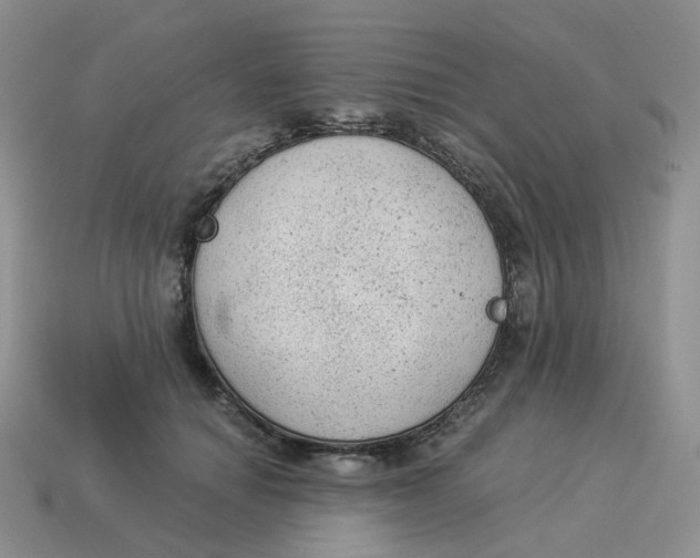 X0000114520654200911091151