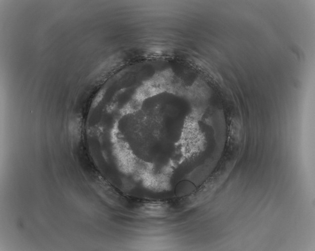 X0000114520659200911091151