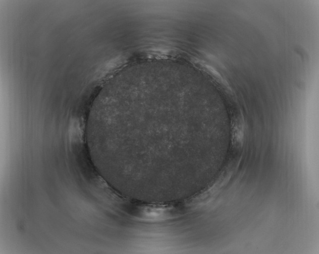 X0000114520661200911091151