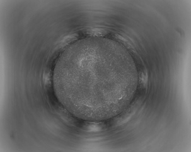 X0000114520663200911091151