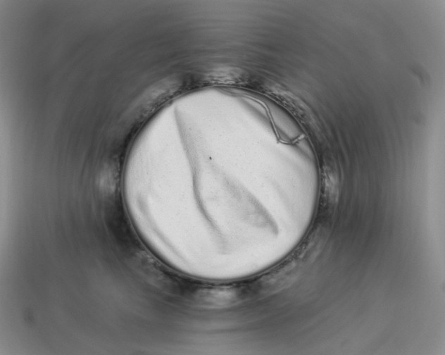 X0000114520665200911091152