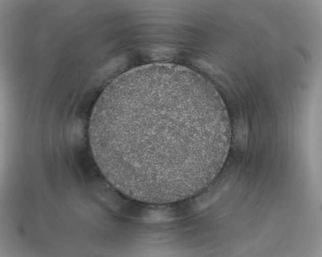 X0000114520667200911091152