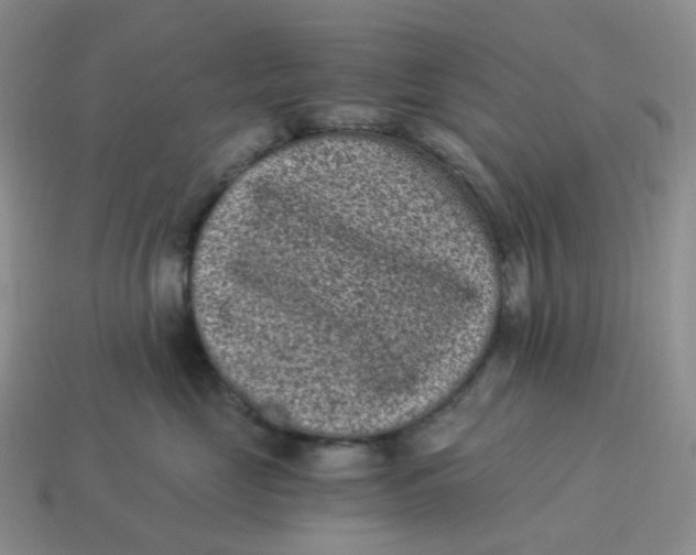 X0000114520669200911091152