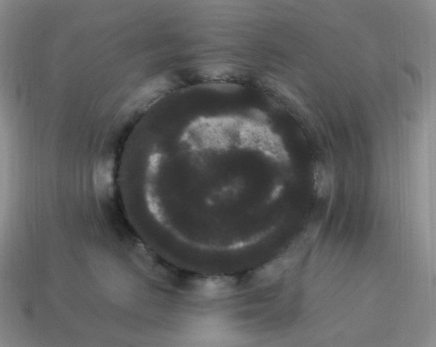 X0000114520670200911091152