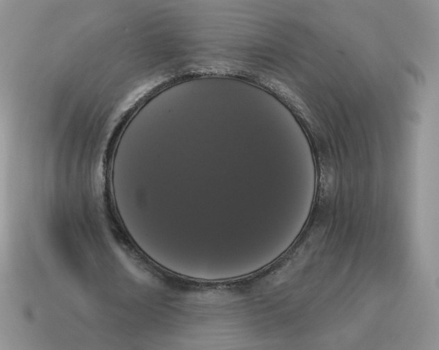 X0000114520674200911091151