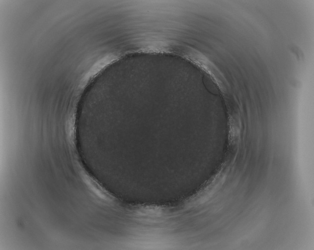 X0000114520677200911091151