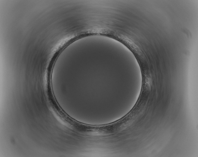 X0000114520678200911091151