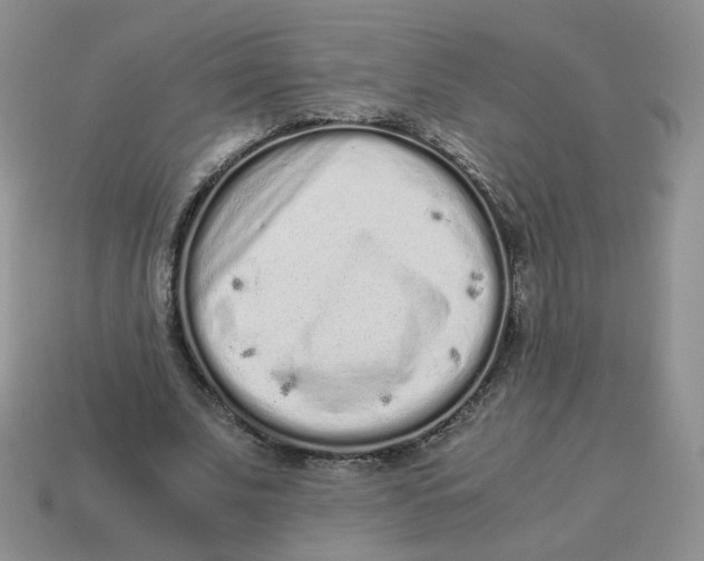 X0000114520679200911091151