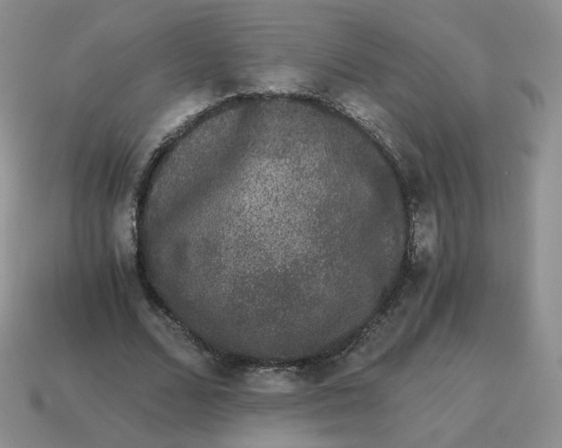 X0000114520680200911091151