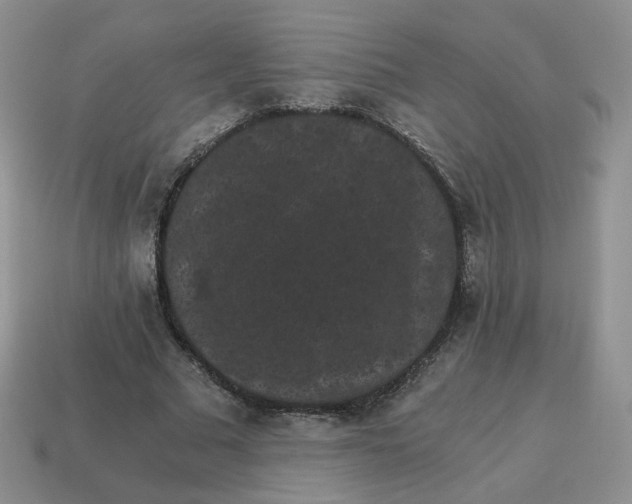 X0000114520681200911091151