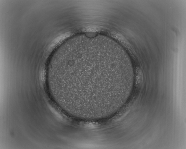 X0000114520683200911091151