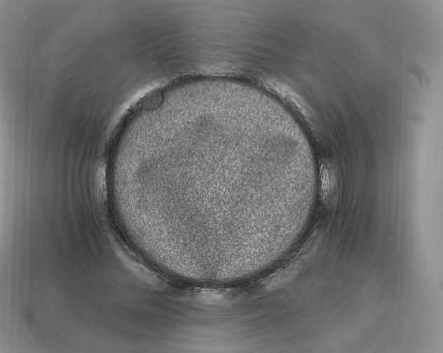 X0000114520684200911091151