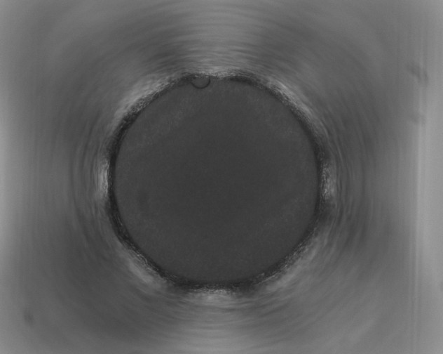 X0000114520685200911091151