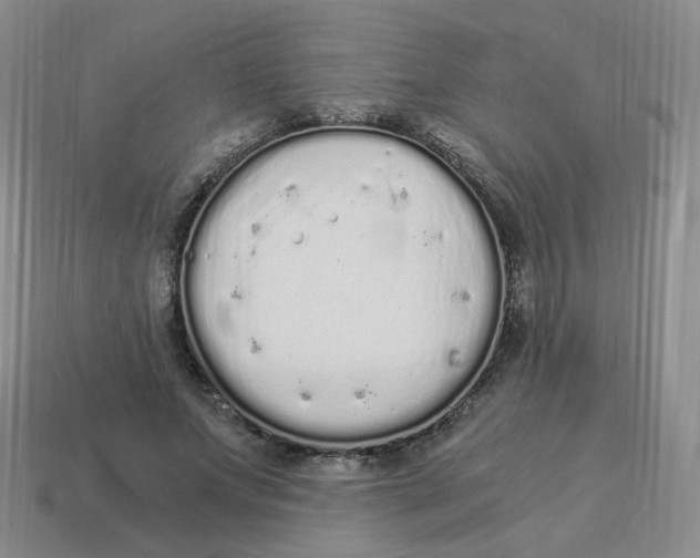 X0000114520687200911091151