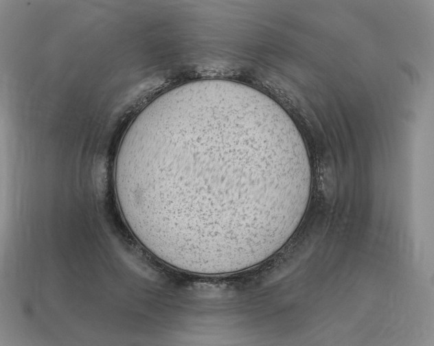 X0000114520690200911091151