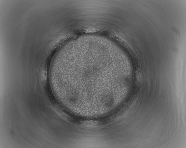 X0000114520691200911091151