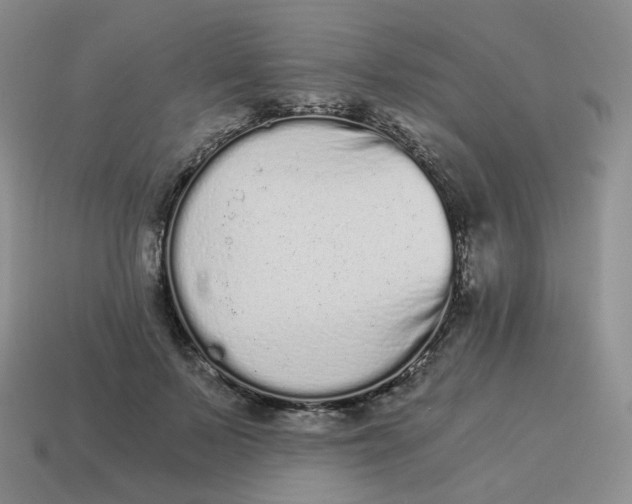 X0000114520695200911091151