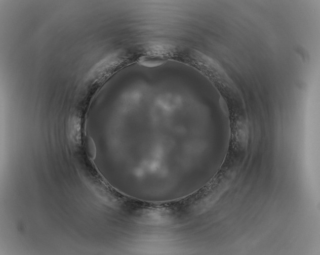 X0000114520696200911091151