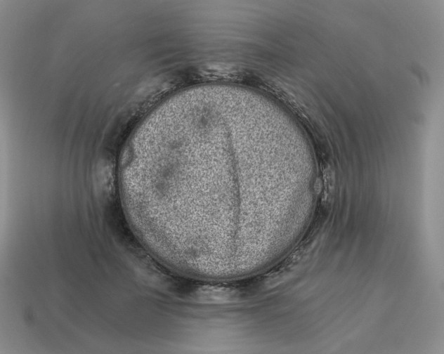 X0000114520699200911091151