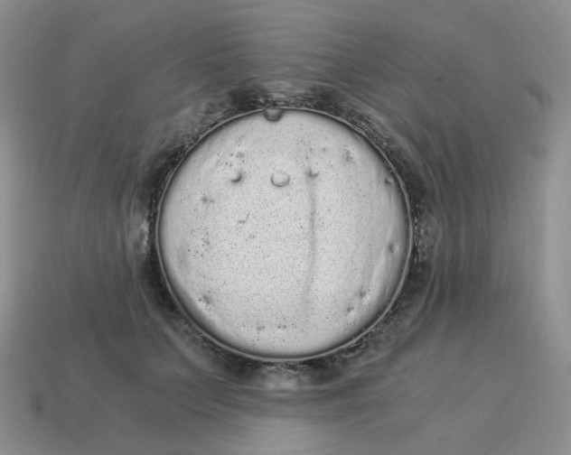 X0000114520703200911091151