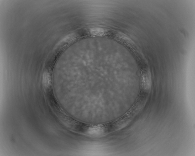 X0000114520705200911091151