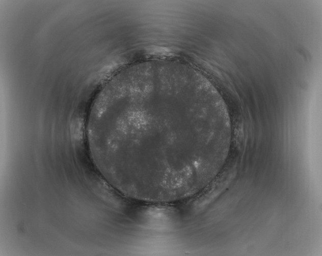 X0000114520708200911091151