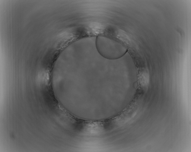 X0000114520709200911091151